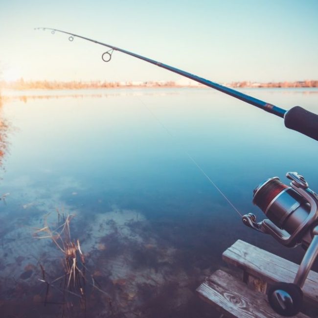 Fishing Rod Basics | Reel Fishing Guru