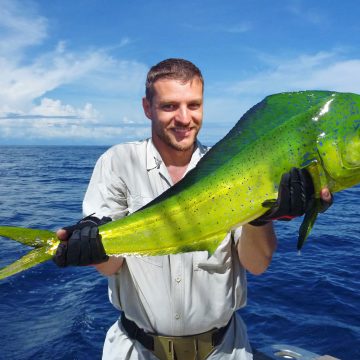 Do Mahi Mahi have Scales? | Reel Fishing Guru